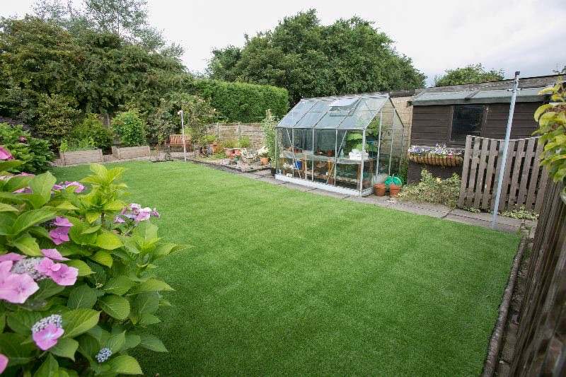 A long artificial lawn with a greenhouse and hydrangeas